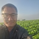 정홍석농장 Daum카페