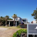 쿠지 홀리데이 이미지