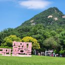 靑瓦臺로 돌아오는 大統領, 주변 상가에선"청와대 근무자 할인합니다" 이미지