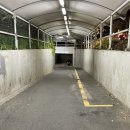 민영수산 | 노량진 대방어 수산시장 &#39;해태기아&#39; 후기