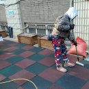 금란유치원 이미지