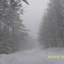 진고개목장 이미지