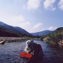 시골다슬기 이미지