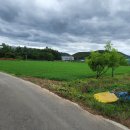 강동초 왕신분교 이미지