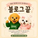 부부전복 | 마곡 삼계 전복삼계탕 후기, 진한 국물에 전복까지 제대로 들어갔네