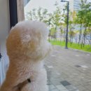 미소 동물병원 이미지