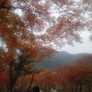삼구회