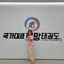 국가대표 태권도 키즈 네이버블로그