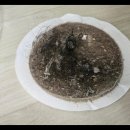 에어컨매트리스소파카펫새로클린 네이버블로그