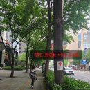 백운집시티타워 | 서울 아이와 당일치기 여행 서울시티투어버스 타고 남산타워, 동대문시장, 인사동 투어