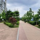 아라길(가야시장) 이미지