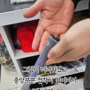 그린골프나주