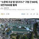 “소문에 조상 땅 있다더니” 구청 간 60대, 5만7000평 횡재 이미지
