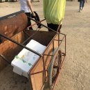 혜인목장 이미지