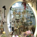 [10/20]가드닝 클래스 이미지