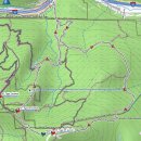 [수요산행] W. Tiger Mt Lingering-Dwight Way-Summit 1,2 Loop 2024-5-29 이미지