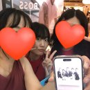 THE S.TEI | 홍콩마카오 여행기 2