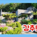 티티부동산공인중개사사무소 이미지