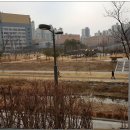 고운뜰길 이미지