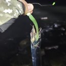 돌고래 PC | 군산 새만금 야간 워킹 풀치낚시 출조 후기