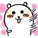 24시신세계로