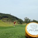 백학관광개발원(주) 이미지