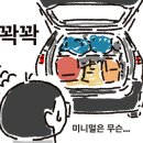 루파니애견캠핑장 이미지