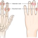 대세당한의원 이미지