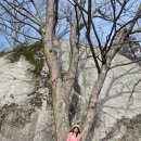 보청천민박 | 보은으로 5Go 3탄-동산펜션,삼겹살,속리토속음식점,대추닭강정