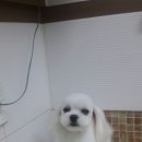 박한준종합동물병원 이미지