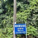 마이제낚시터 이미지