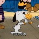 필리가 캠핑 이미지