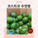 코스트코 6월 둘째주 할인 추천템 음식 알피쿨 캠핑냉장고 수박