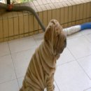 라임오렌지 이미지