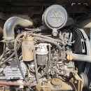 대우농장 이미지