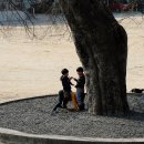 서 초등학교 이미지