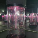 인어 | 대구 아쿠아리움 다녀온 후기｜인어공주 공연부터 체험 프로그램까지 알차게 즐긴 하루