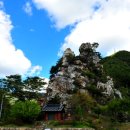 꼴두바우 이미지