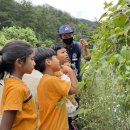 춘천유치원 이미지