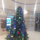 국제성서박물관 이미지