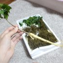 창일농산