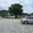 온천가야밀면