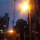 명랑비디오