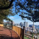 친환경스카이웨이 전망대 이미지