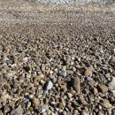 바다숲 민박 이미지