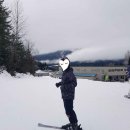 JJ COMPANY | 다인아웃 밴쿠버 맛집 바나나 리프 후기, 추천! 휘슬러 스키장