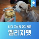 엘리자펫 이미지