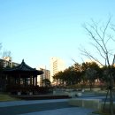 수목원동물병원 이미지