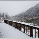 산천초목민박 이미지