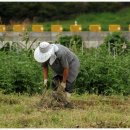 바른생한의원 이미지